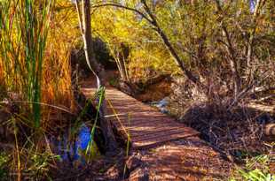 Copper Creek-9875.jpg Copper Creek-9875.jpg